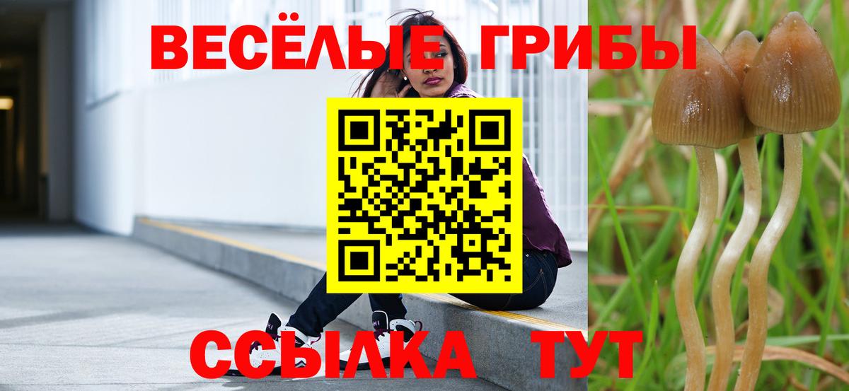 Псилоцибиновые грибы GOLDEN TEACHER Лыткарино